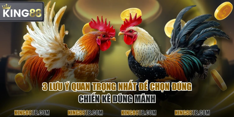 3 lưu ý quan trọng nhất để chọn đúng chiến kê dũng mãnh