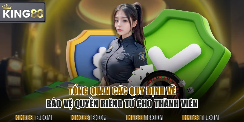 Tổng quan các quy định về bảo vệ quyền riêng tư cho thành viên